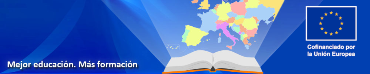 imagen del portal FSE+