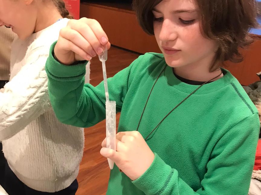 ¿Qué saldrá de todo esto?