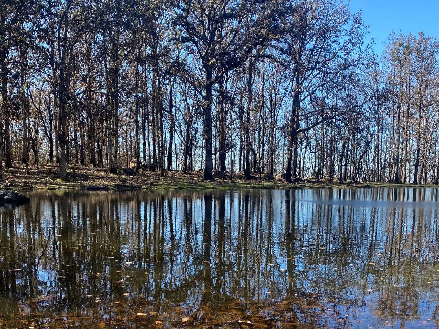 La Belleza Simétrica