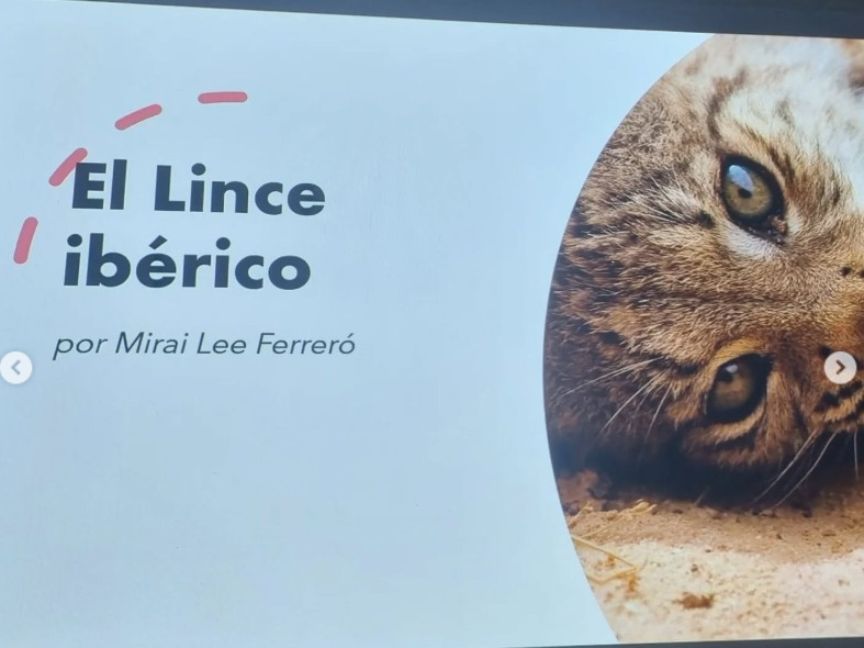 El lince ibérico