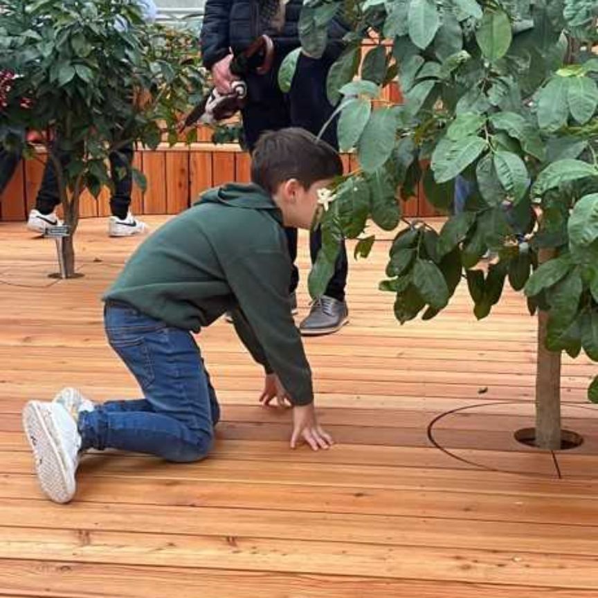 Visitando el Jardín Botánico de Porrentruy y aprendiendo sobre botánica.