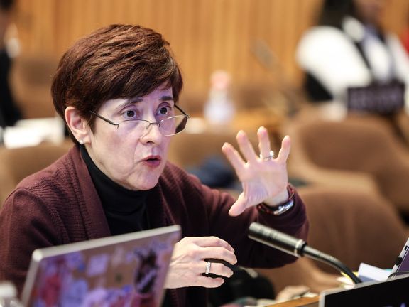 La Delegada Permanente Adjunta, María Palacios