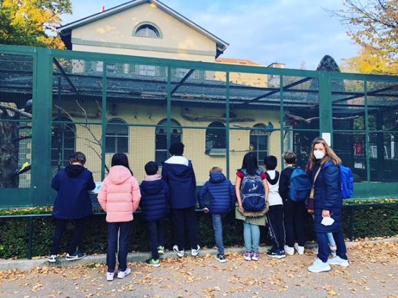 salida de otoño al parque de Mon Repos 1