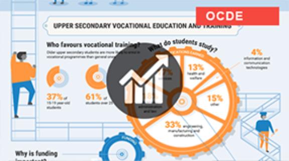 Los entresijos de la Educación y Formación Profesional