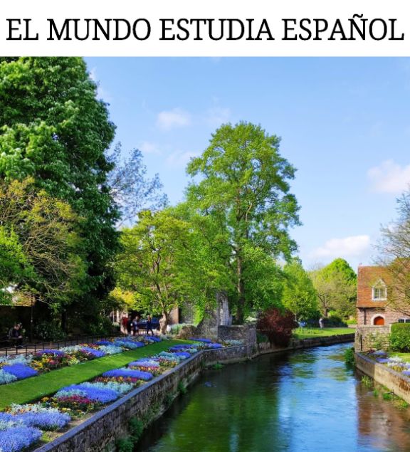 El mundo estudia español
