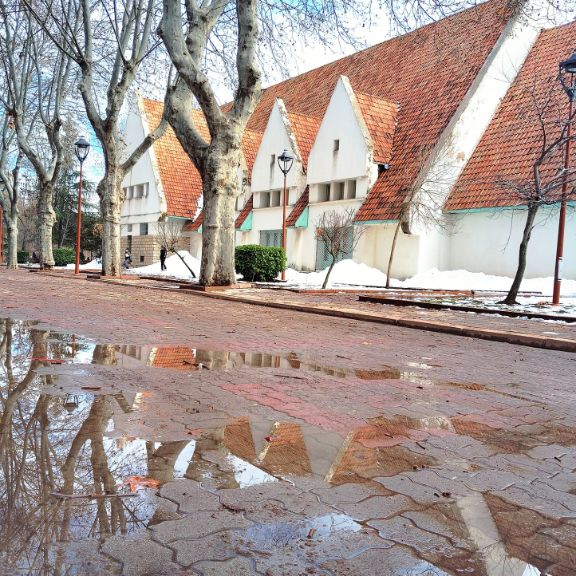 Reflejos de la Razón