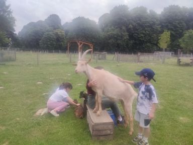 Alumnos con una cabra en la granja