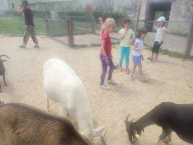 Otro momento de la visita a la Ferme de Gally