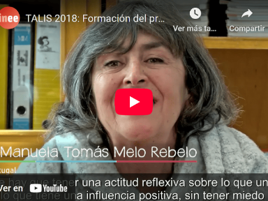 TALIS 2018. Formación del profesorado