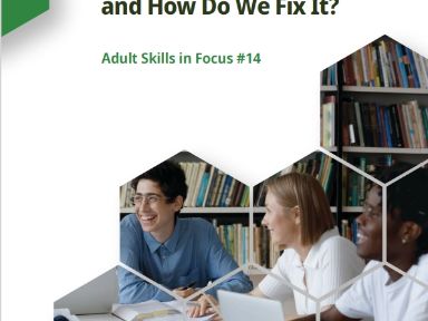 Adults Skills in Focus N.14