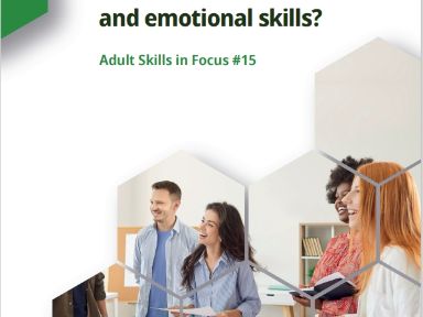 Adult Skills in Focus N.15
