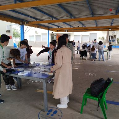 Realización de la prueba por equipos
