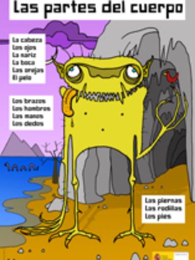 cartel partes del cuerpo