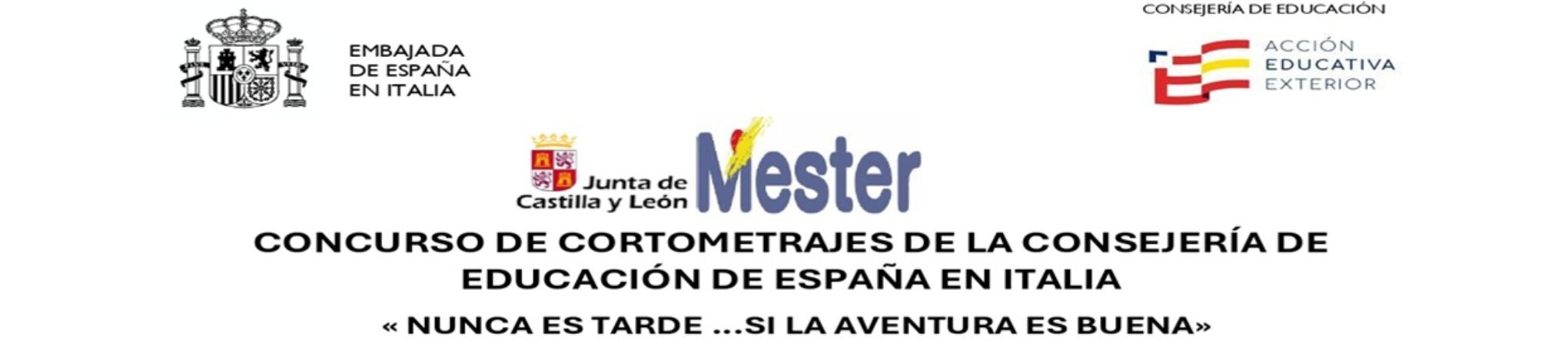 Bases de los cortometrajes