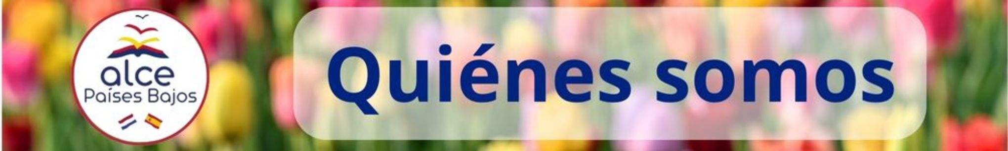 cabecera quiénes somos