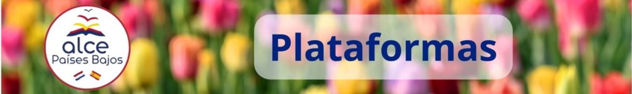plataformas