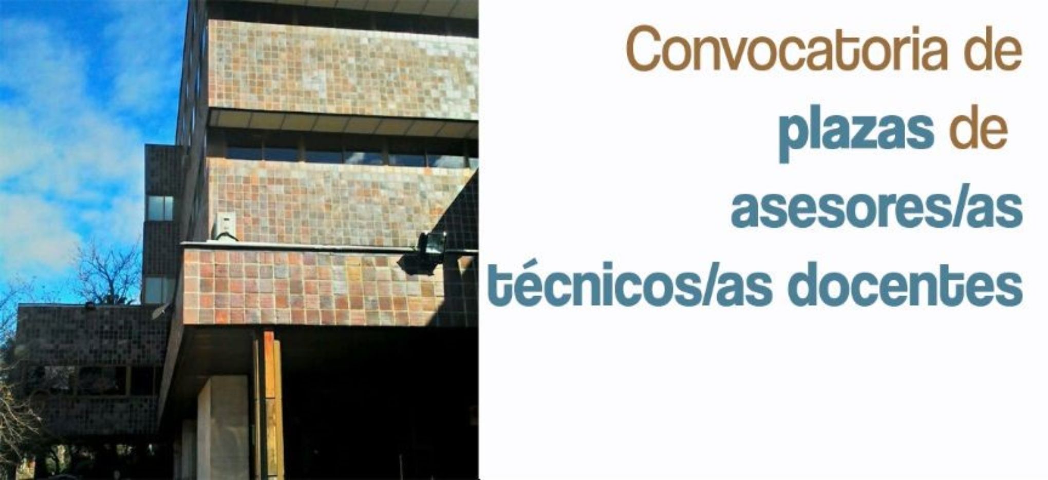 Convocatoria plazas asesor técnico docente
