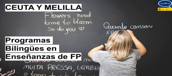 Programas Bilingües de FP
