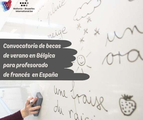 imagen-becas-verano