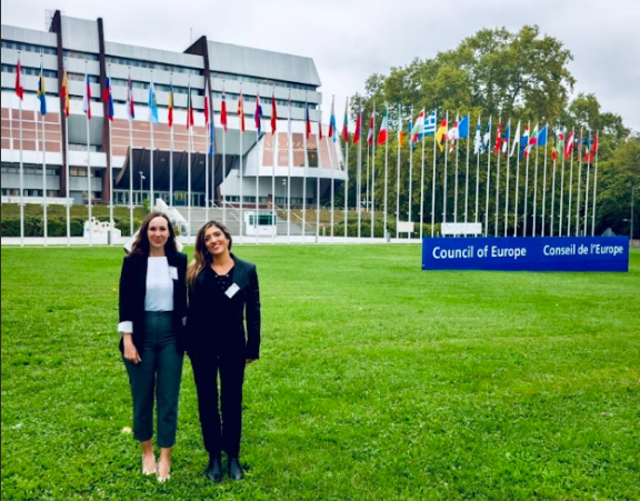 8.ª sesión plenaria del Comité Directivo de Educación (CDEDU)