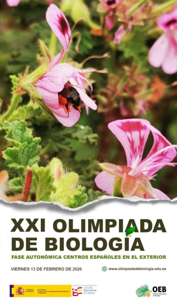 Prueba Clasificatoria para los Centros del Exterior 2026