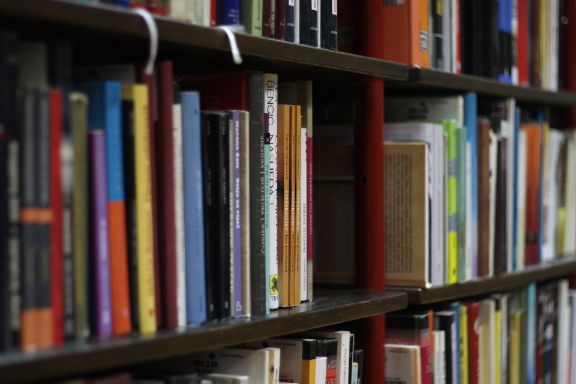 Libros en estanterías
