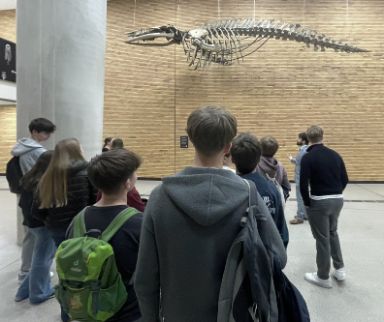 Los alumnos ALCE de Viena han tenido la gran oportunidad de conocer los laboratorios del edificio de biología de la universidad de Viena (UBB). Previa