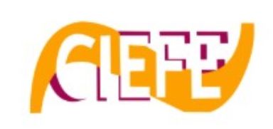 logo congreso CIEFE