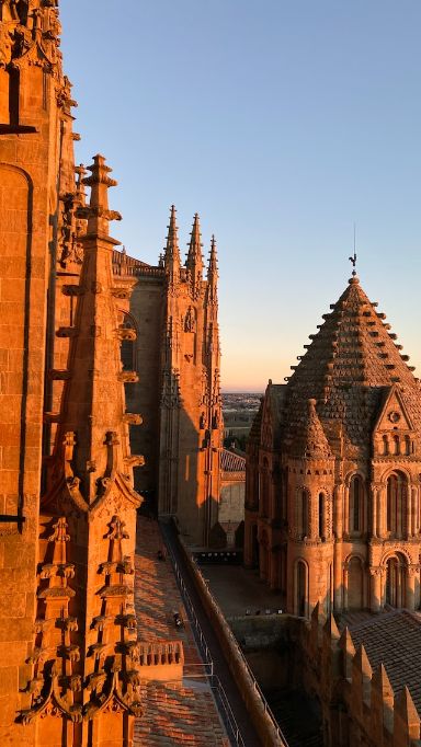 programa Salamanca