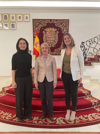 Reunión bilateral entre el Ministerio de Educación de Austria y el MEFPD. Programa auxiliares de conversación
