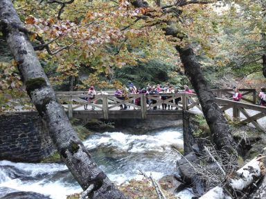 La magia de la naturaleza. Una ruta para todos los sentidos. De convivencia a hermandad: Ordesa, Cabo de Gata, Delta del Ebro, Picos de Europa…