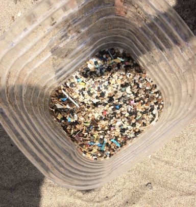 Microplásticos de un muestreo de 1 m2 arena. Realizado por alumnado en la playa de Famara (Lanzarote)