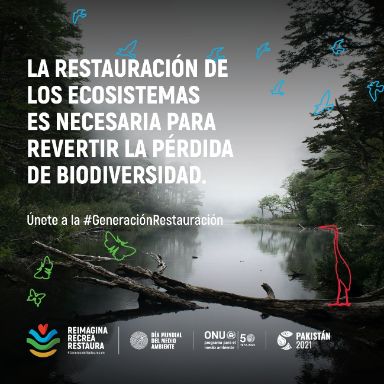 Cartel día mundial del medio ambiente