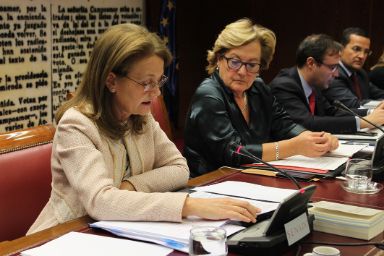 En la foto, Montserrat Gomendio en un momento de su comparecencia.