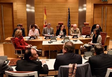 Méndez de Vigo durante su comparecencia en el Senado