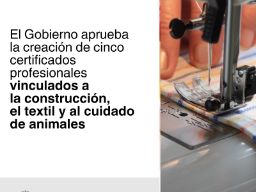 Imagen del artículo El Gobierno aprueba la creación de cinco certificados profesionales vinculados a la construcción, el textil y al cuidado de animales