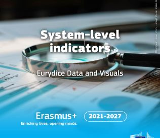 Indicadores a nivel de sistema 2025