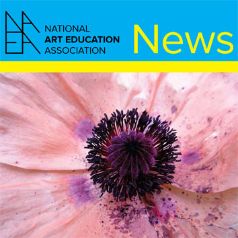 logotipo NAEA news