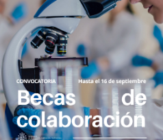 Becas de colaboración