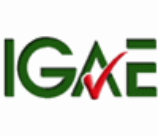IGAE