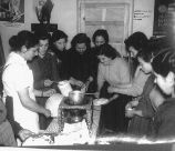 Programas Experimentales