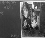 Centros y Organismos