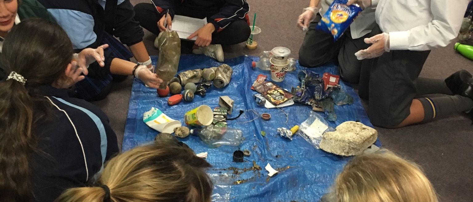 Alumnos aprendiendo verbos con actividades activas