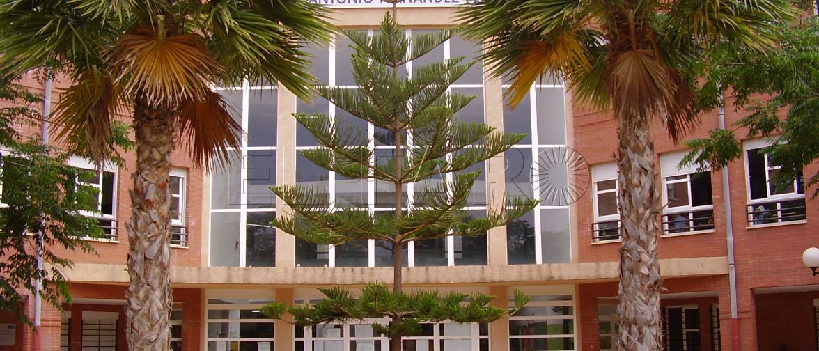 IES. Juan Antonio Fernández