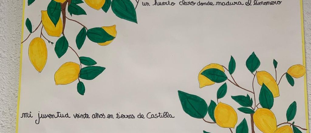 Limones