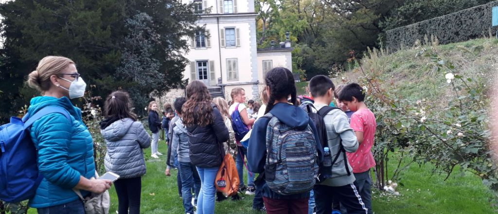 Visita a la rosaleda del parque 