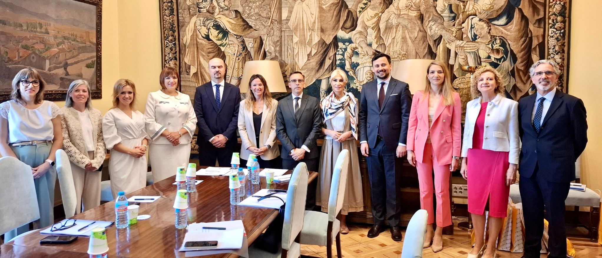 SGIE reunión con la Comisión de Educación del Parlamento de Rumanía.