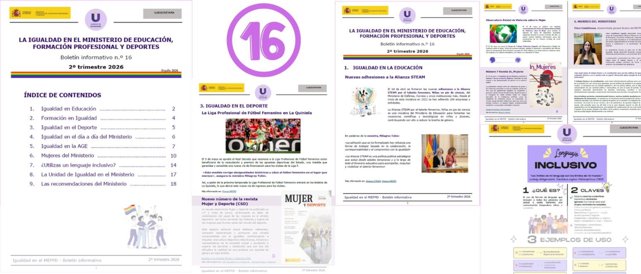 Páginas del Boletín n.º 16