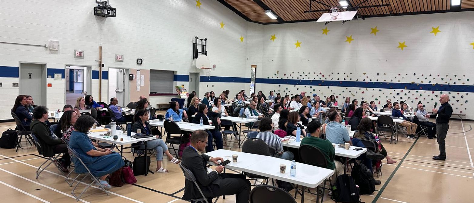 Profesores visitantes