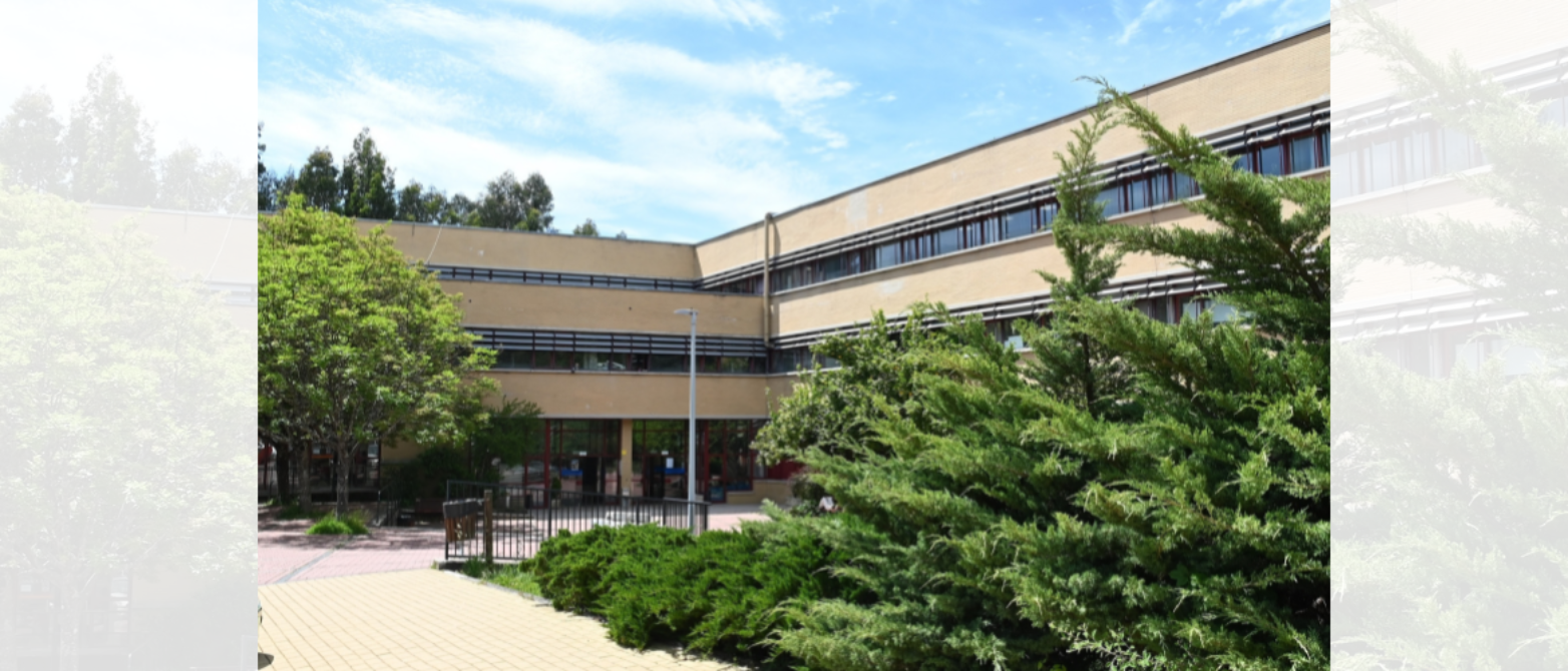 Edificio universitario de dos plantas color ocre con grandes ventanales, rodeado de arbustos y árboles verdes, con acceso principal acristalado y pavi